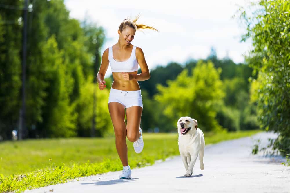 23 of the Best Dog Breeds for Running Which One is Right for You? K9 
