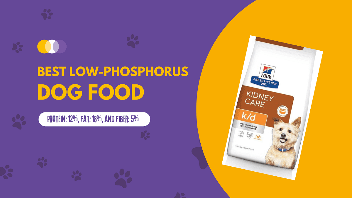 Best Low Phosphorous Dog Food Review