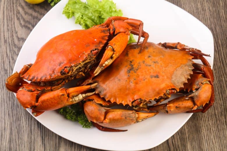 Two boiled crabs on a plate