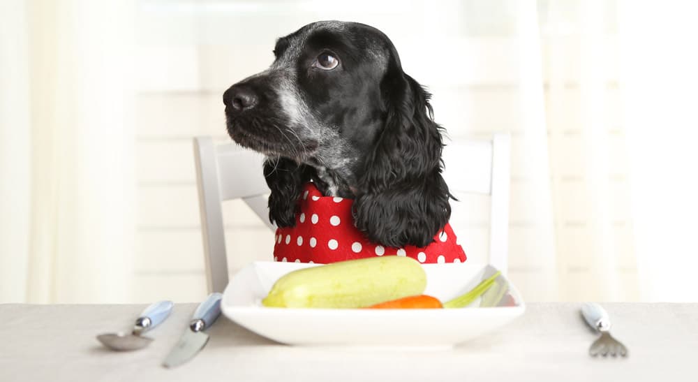Dog ready to eat the fresh vegetables on the table