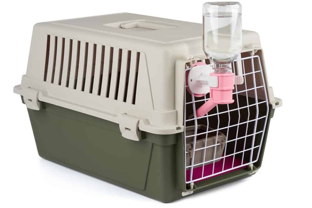 Pet carrier with feeding and watering supply