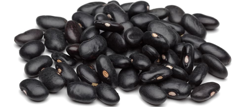 black beans in white background