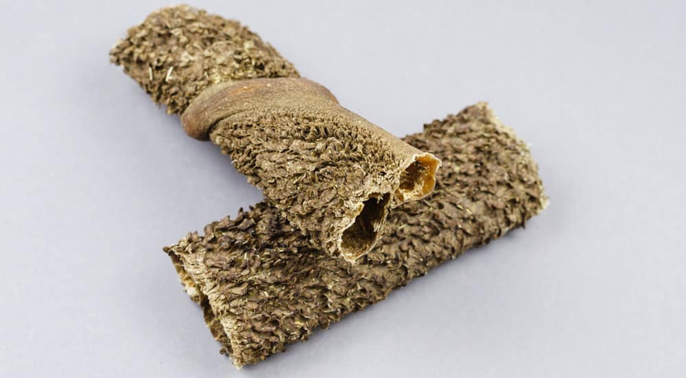 Sticks of dried green tripe