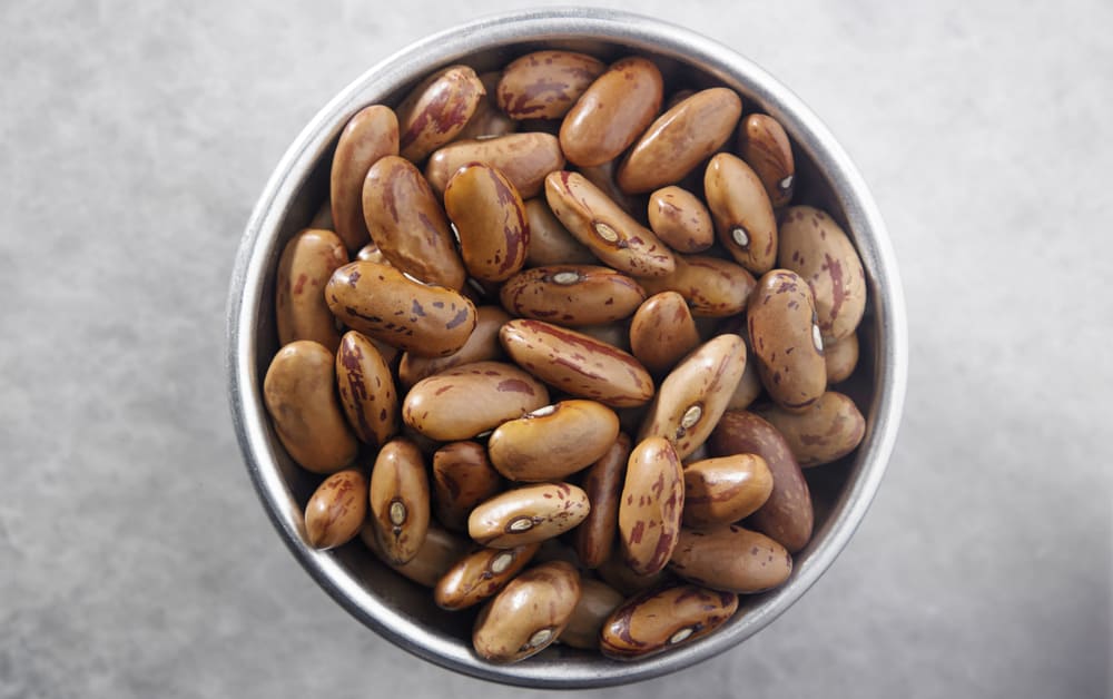 Uncooked pinto beans in a bowl