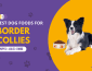 11 Best Dog Foods for Border Collies 2023 (Premium & Budget)