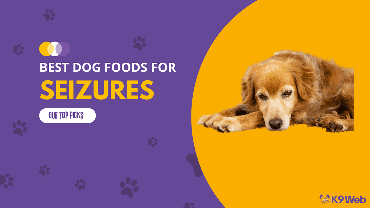 Best Dog Food for Seizure Review