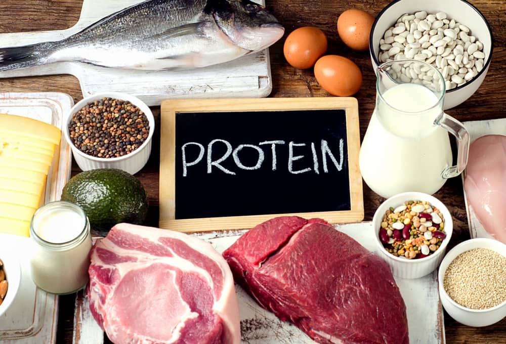 Best Foods with high protein