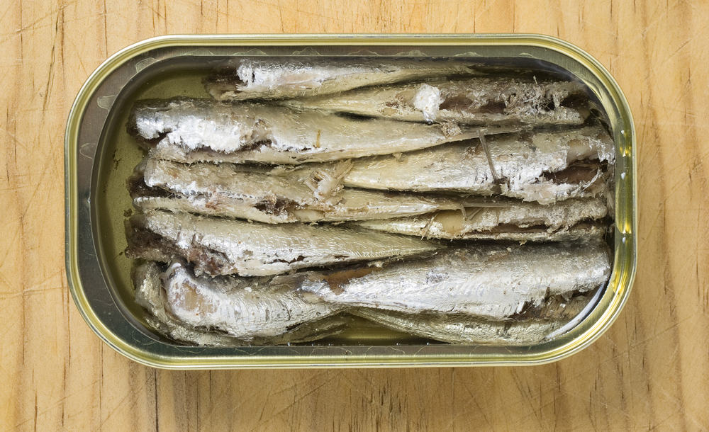 Spanish style sardines in can