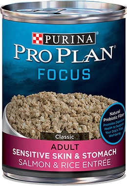Purina Pro Plan Focus Adult Sensitive Skin & Stomach Salmon & Rice Canned Dog Food