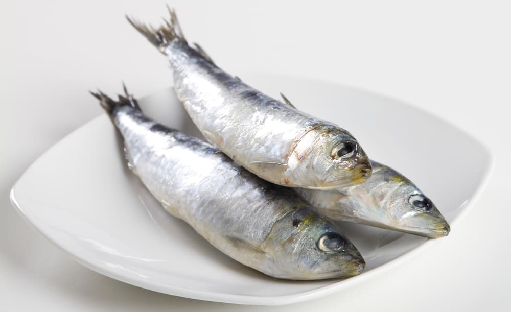 Raw sardines on plate
