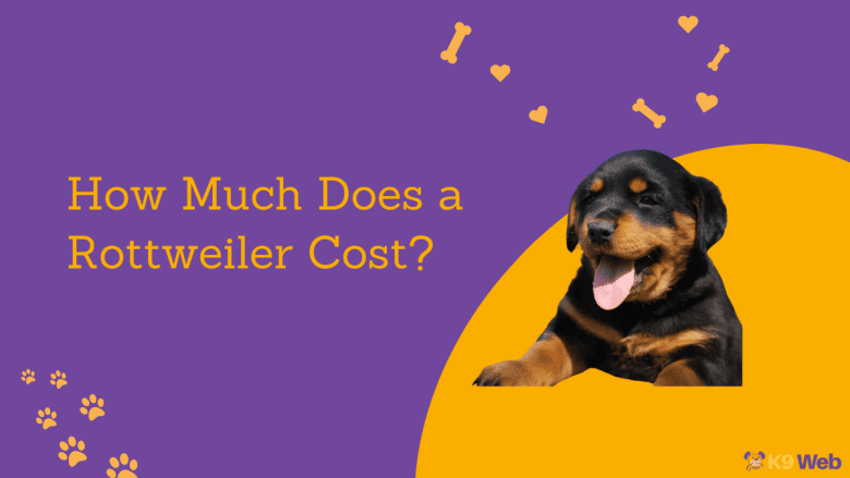 Rottweiler Price Guide