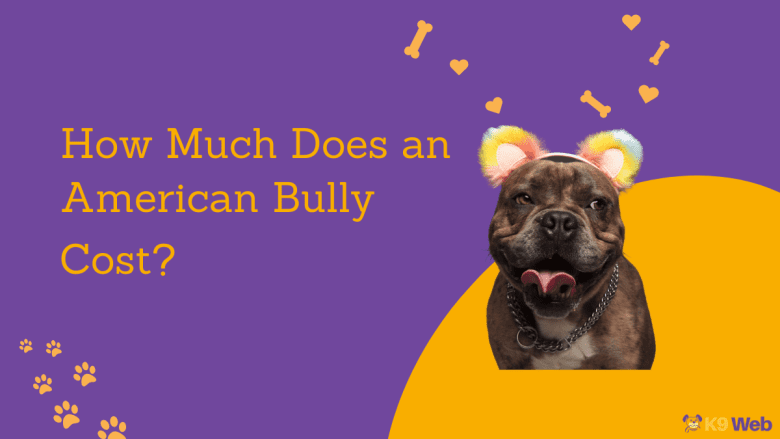 American Bully Price Guide