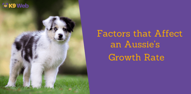 Factors that affect Aussie's Growth Chart