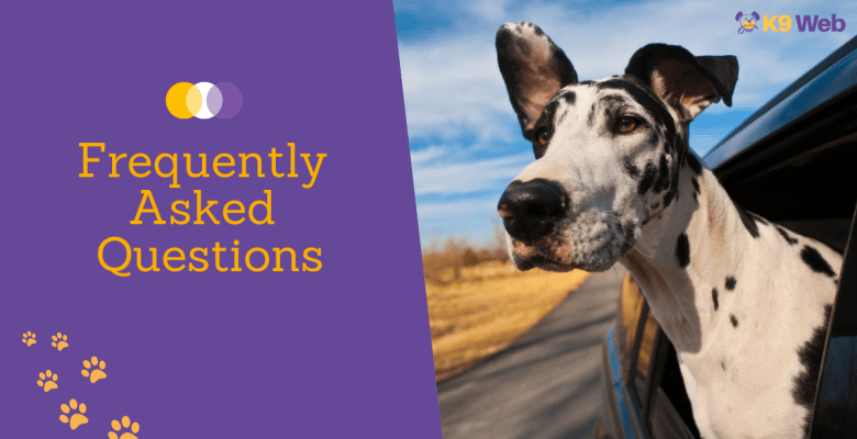 FAQs about Great Dane's Growth
