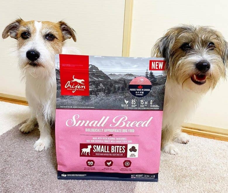 Two dogs with Orijen dog food for small breeds