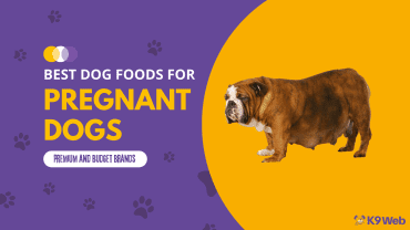 Best Dog Food for Pregnant Dog Review