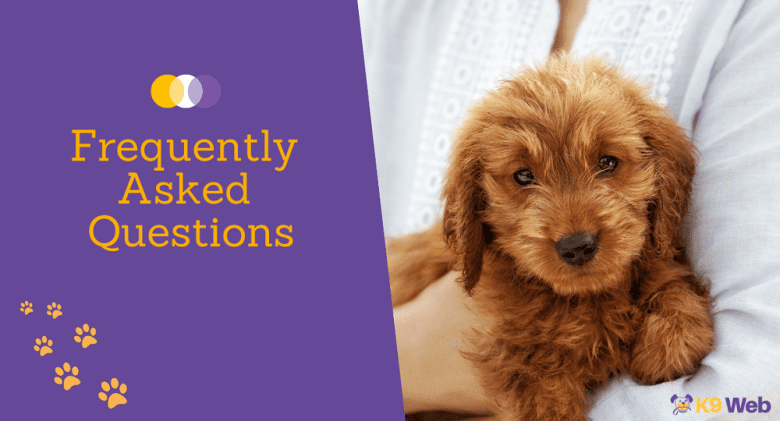 Frequently asked questions about Goldendoodle