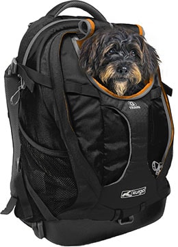 Kurgo G-Train Dog Carrier Backpack