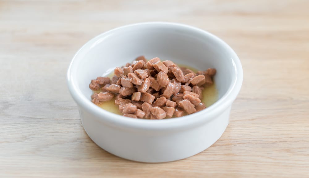 Wet dog food in a white bowl