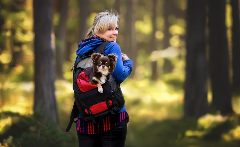 A happy woman with a dog in backpack