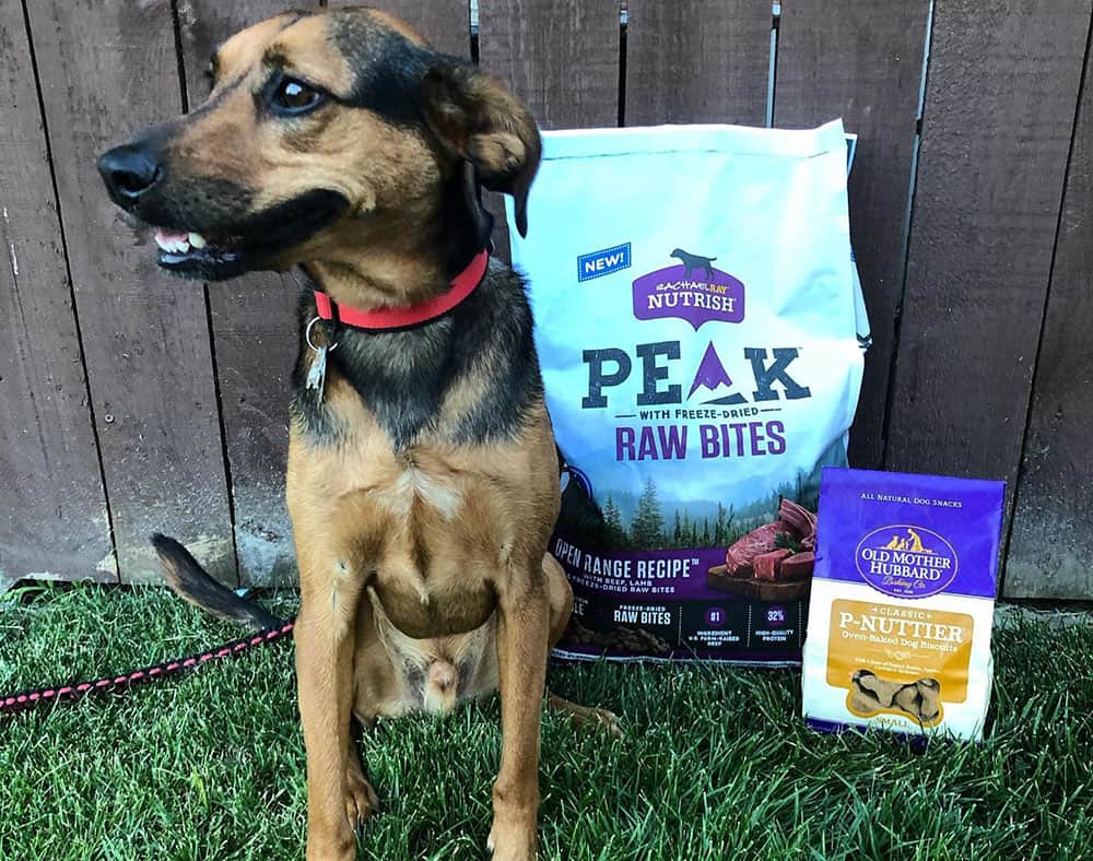 A dog being happy with new pack of Rachael Ray Nutrish peak