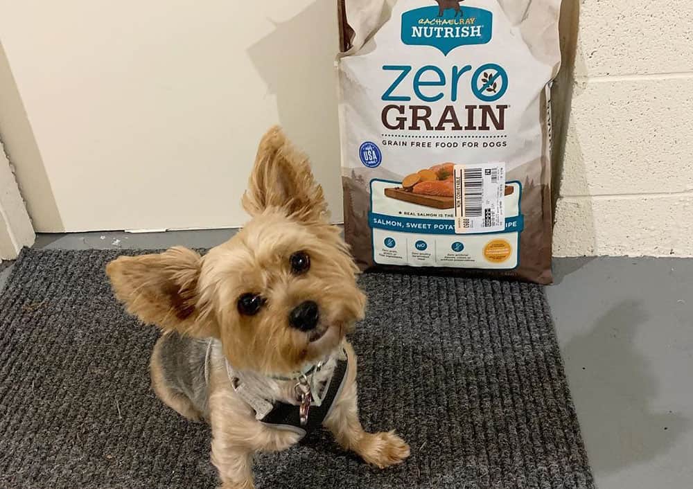 Was There A Recall On Rachael Ray Dog Food