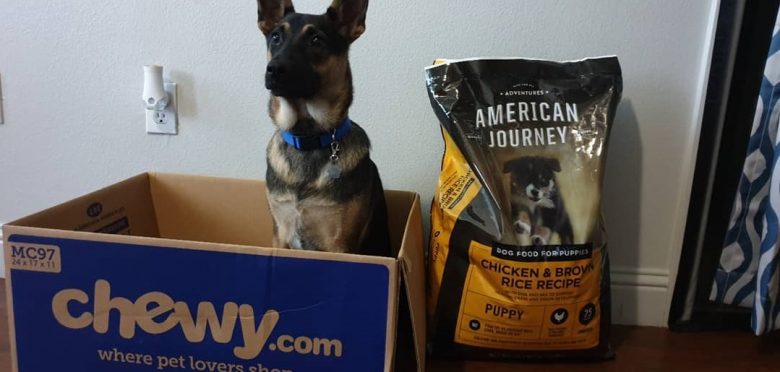 A German Shepherd puppy with American Journey dog food