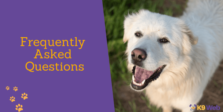 FAQs about Great Pyrenees' growth