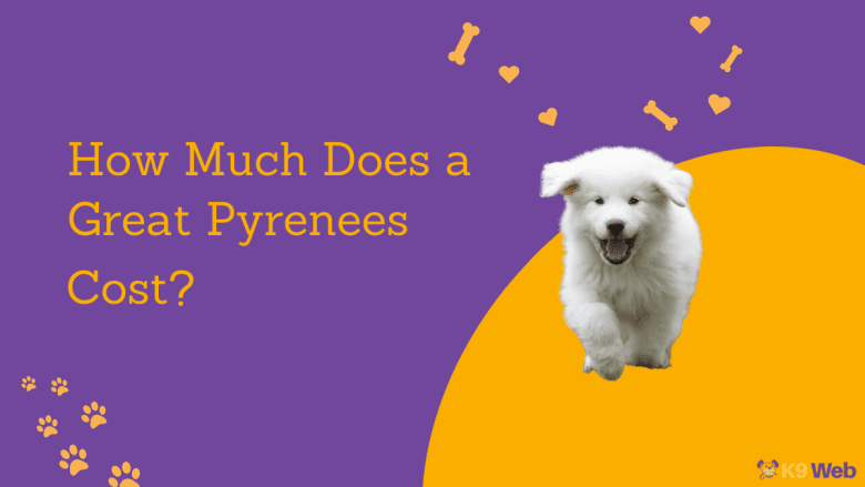 Great Pyrenees Price Guide