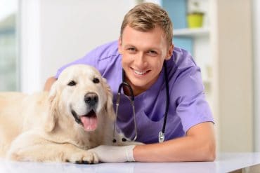 Professional Veterinarian smiling while holding the dog