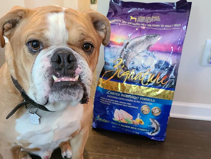 A Bulldog with the pack of Zignature dog food
