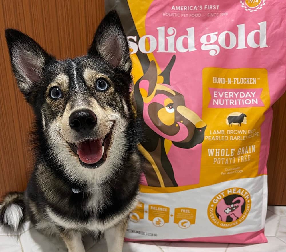 A happy Pomsky with his pack of Solid Gold dog food