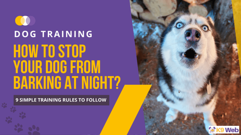 How To Make a Dog Stop Barking At Night?