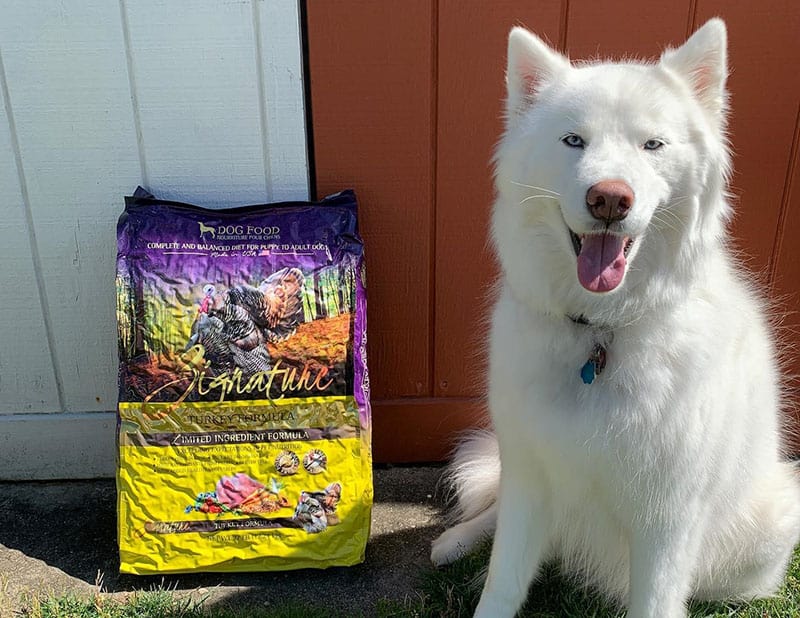 A Husky dog with Zignature dog food pack