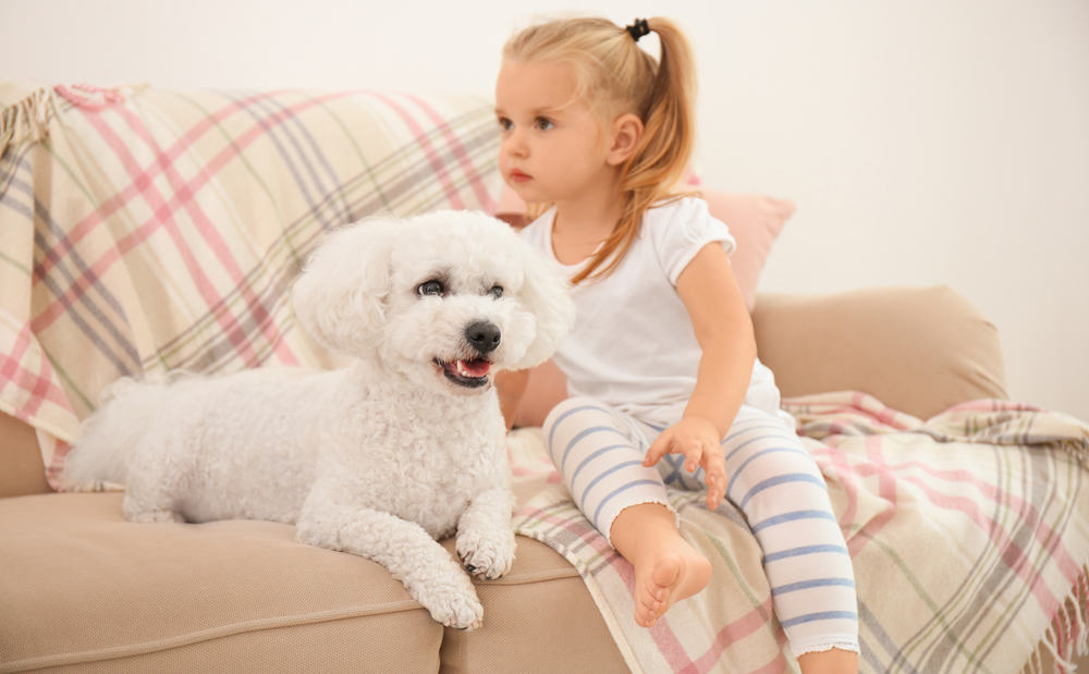 Little girl with her Bichon Frise dog