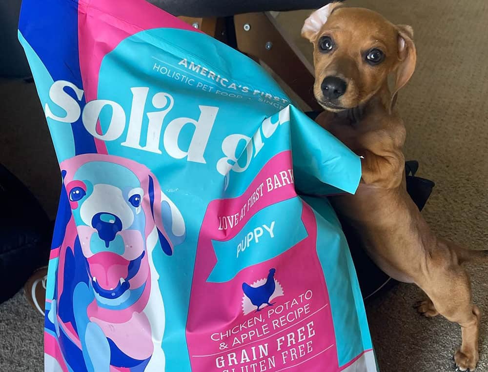 A Mini Dachshund puppy with pack of Solid Gold puppy formula dog food