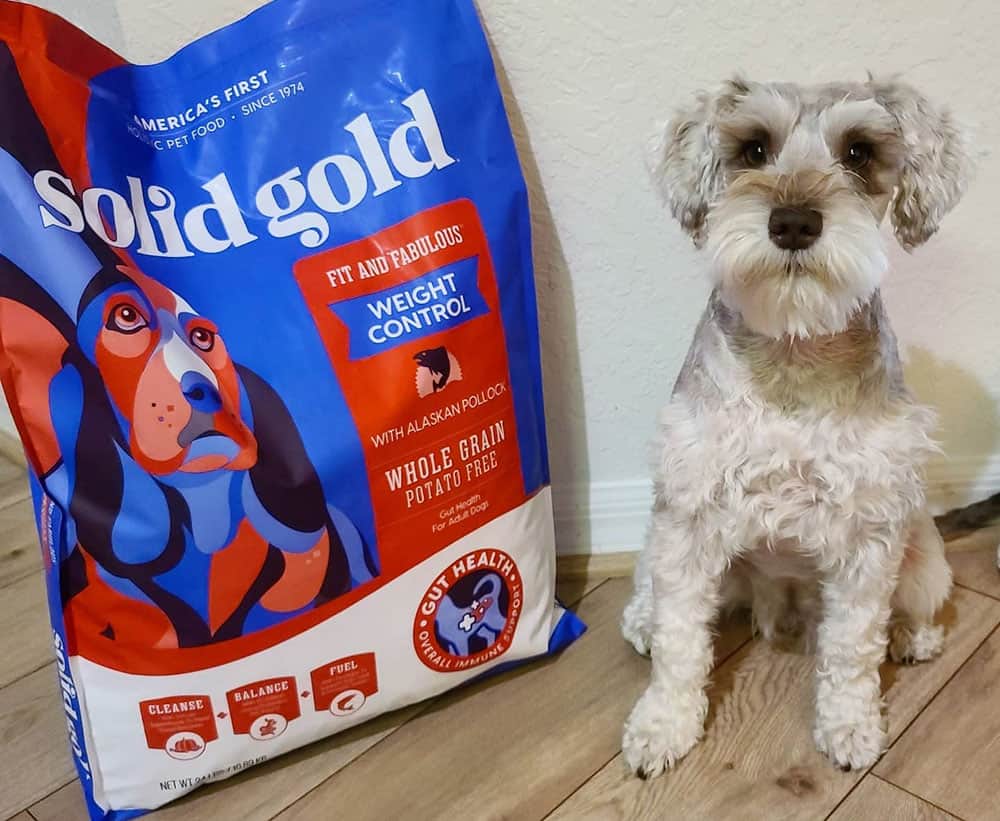 Miniature Schnauzer and the Solid Gold weight control dog food
