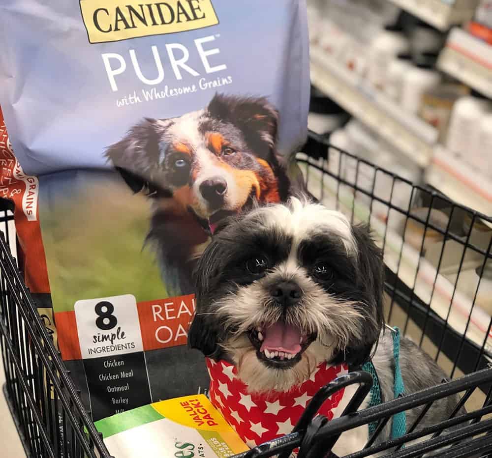 A Shihtzu dog inside the shopping cart with Canidae dog food