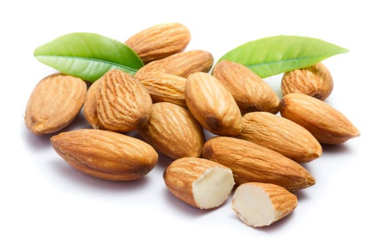 Close-up image of almonds