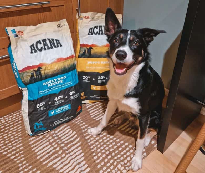 Dog Food articles Archives Page 2 of 10 K9 