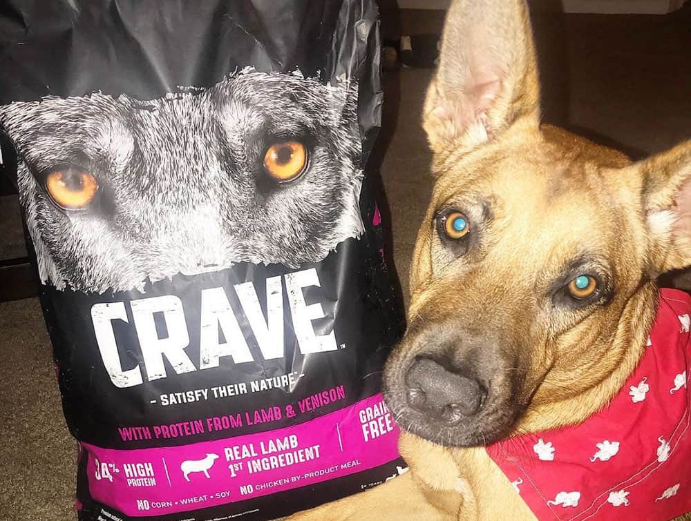 A dog takes selfie with the Crave dog food