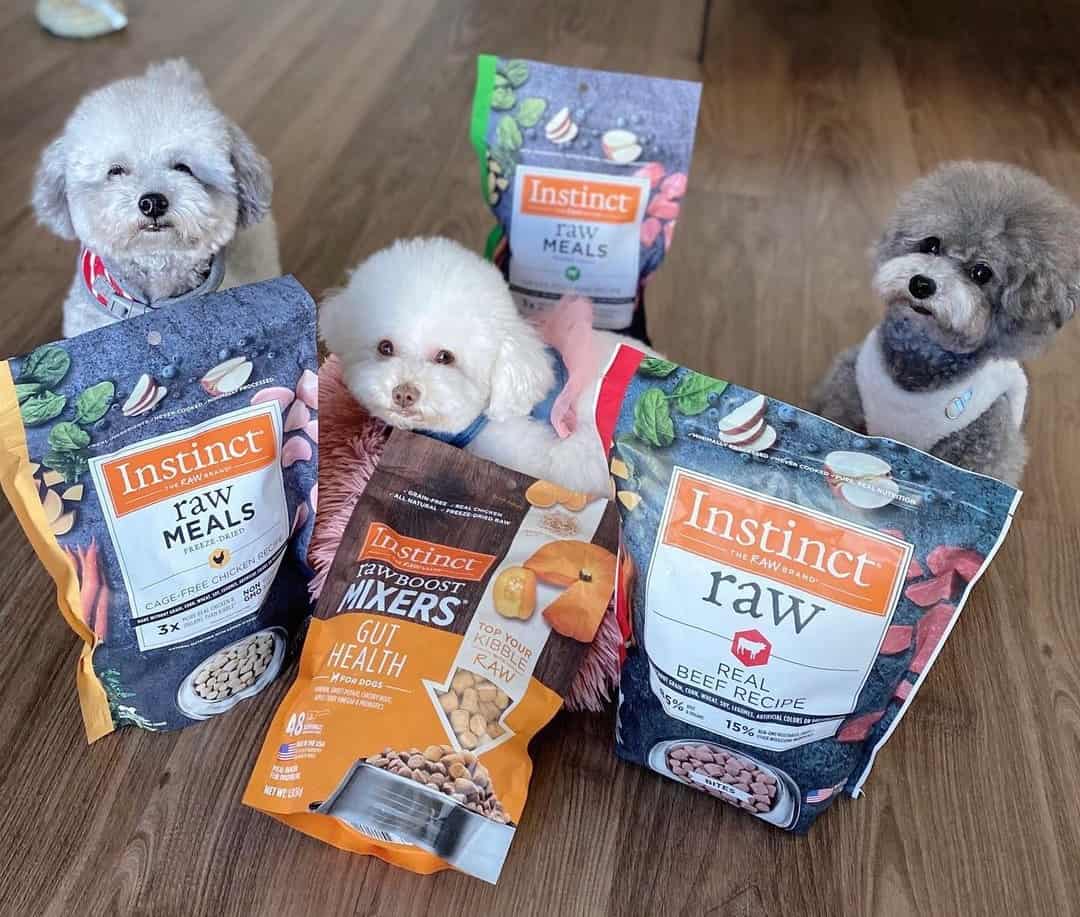 Is Instinct A Good Dog Food