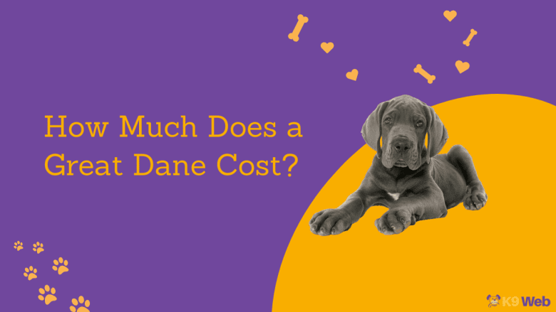 Great Dane Price Guide